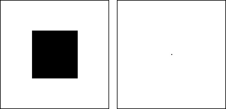 successive black square experiment